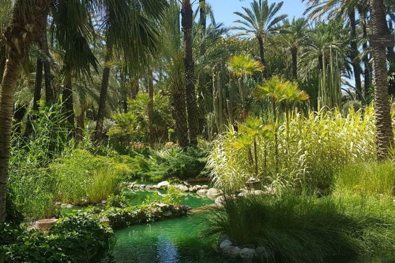 Residential Jardin Del Pintor - La Casa Amarilla Lejlighed Jacarilla Eksteriør billede