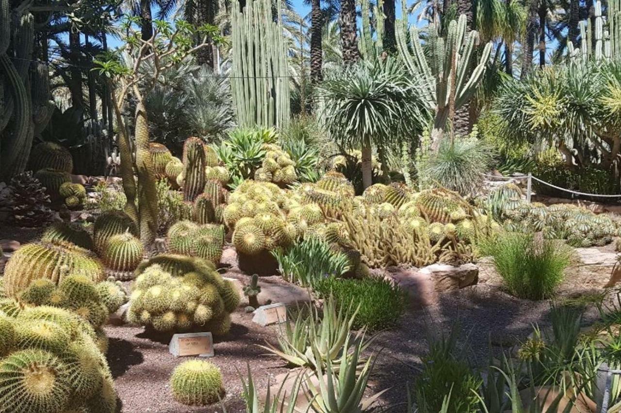 Residential Jardin Del Pintor - La Casa Amarilla Lejlighed Jacarilla Eksteriør billede